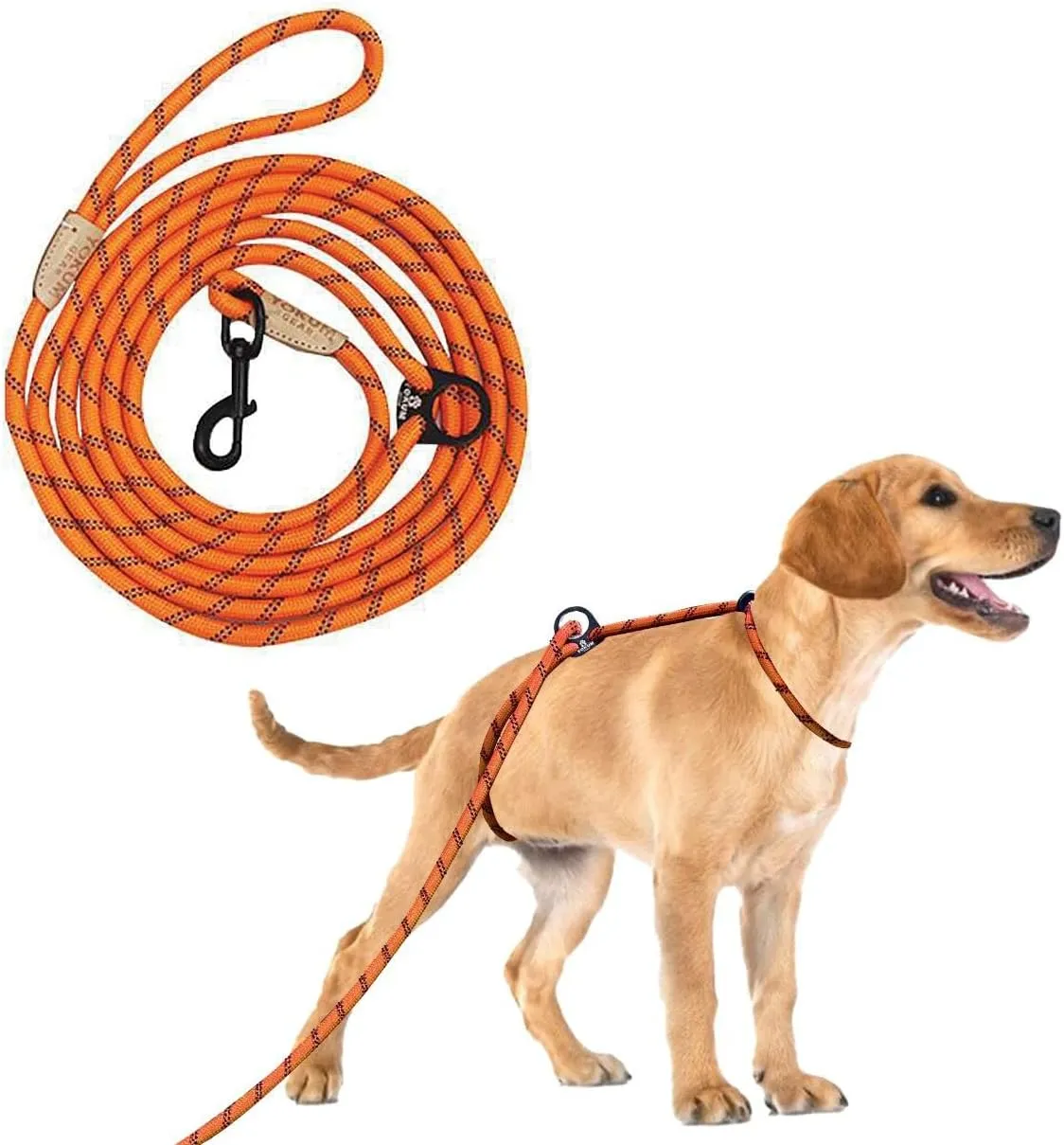12ft No Pull No Choke Leash Long Rope Dog Leash, Anti Pulling, Dog Leads for Walking, Double Hook & Escape Proof for All Breeds, Reflective Orange