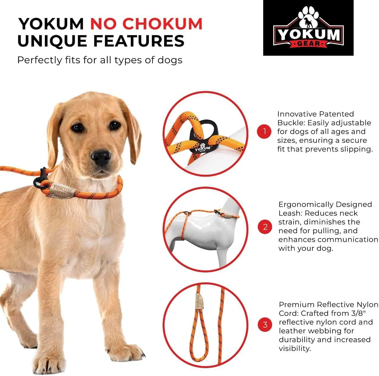 12ft No Pull No Choke Leash Long Rope Dog Leash, Anti Pulling, Dog Leads for Walking, Double Hook & Escape Proof for All Breeds, Reflective Orange