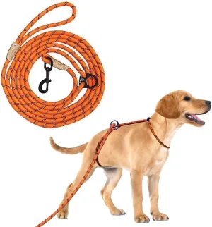 12ft No Pull No Choke Leash Long Rope Dog Leash, Anti Pulling, Dog Leads for Walking, Double Hook & Escape Proof for All Breeds, Reflective Orange