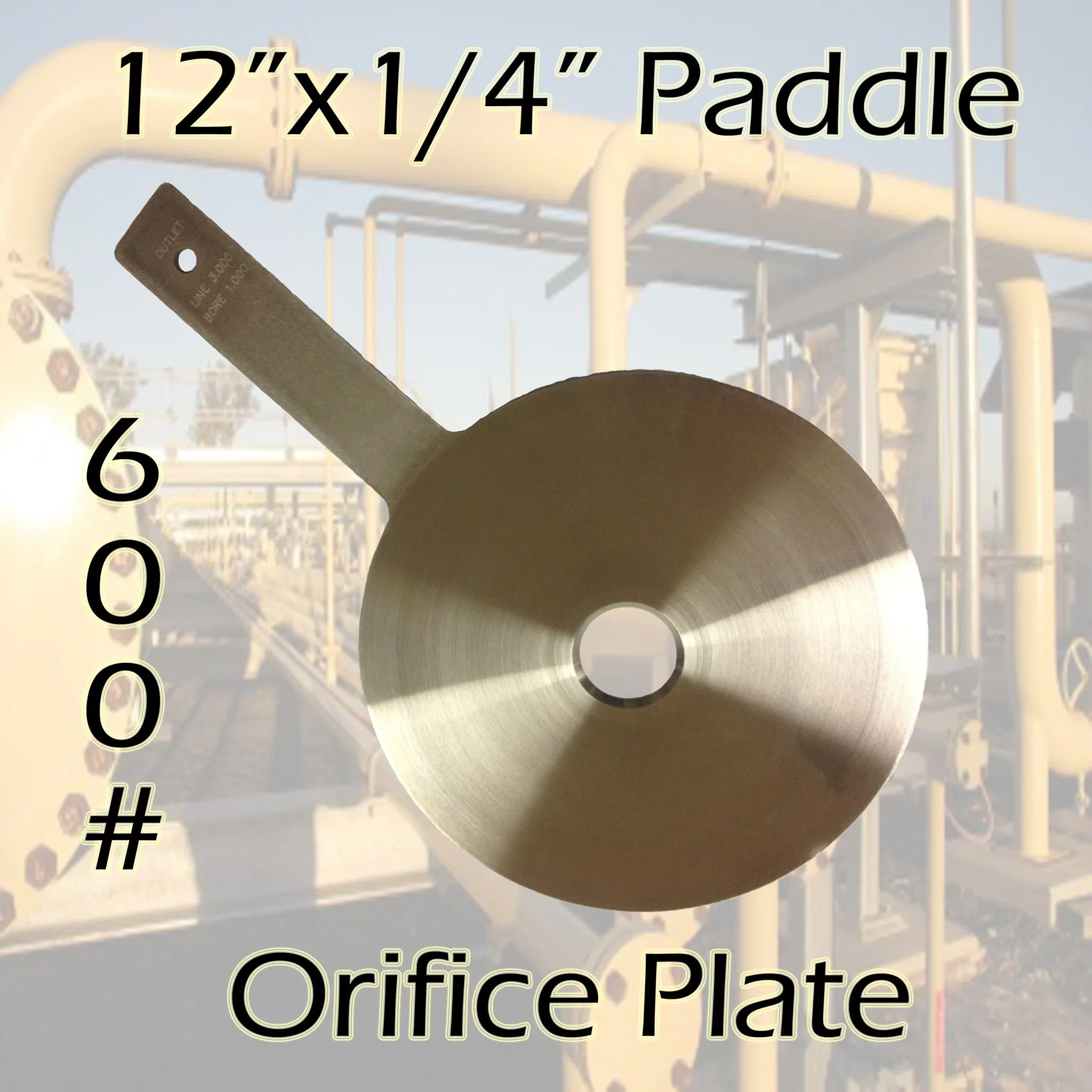 12" x 1/4" 600# Paddle Orifice Plate