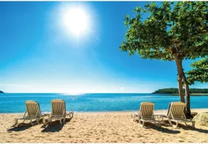 12x8ft Beach Backdrop Tropical Seaside Sun Lounger Hawaiian Luau White Sand Beach Vacation Photography Background Party Birthday Baby Shower Wedding Sunbathing Photo Props Polyester