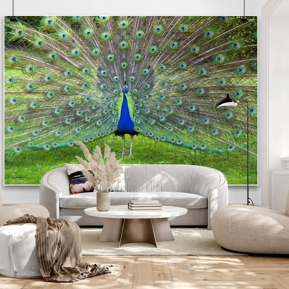 7x5ft Peacock Backdrop Colorful Peacock Feather Green Meadow Outdoor Wild Animal Photography Background Birthday Party Holiday Baby Shower Portrait Studio Photo Props Polyester