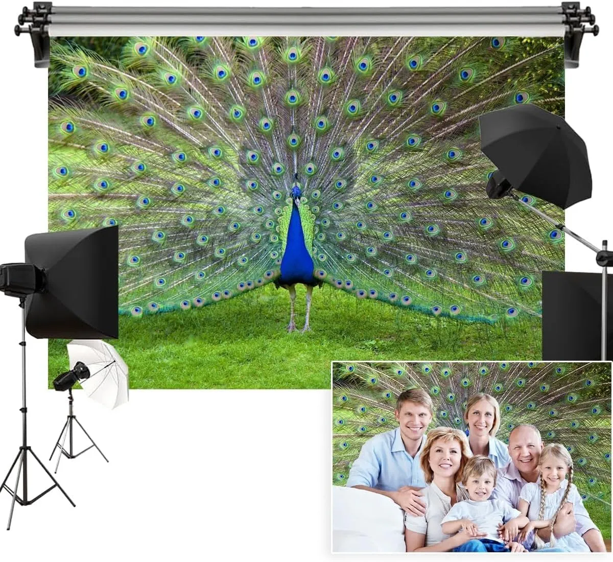 7x5ft Peacock Backdrop Colorful Peacock Feather Green Meadow Outdoor Wild Animal Photography Background Birthday Party Holiday Baby Shower Portrait Studio Photo Props Polyester