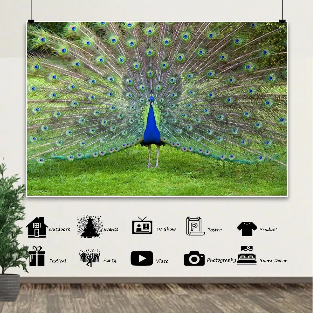 7x5ft Peacock Backdrop Colorful Peacock Feather Green Meadow Outdoor Wild Animal Photography Background Birthday Party Holiday Baby Shower Portrait Studio Photo Props Polyester