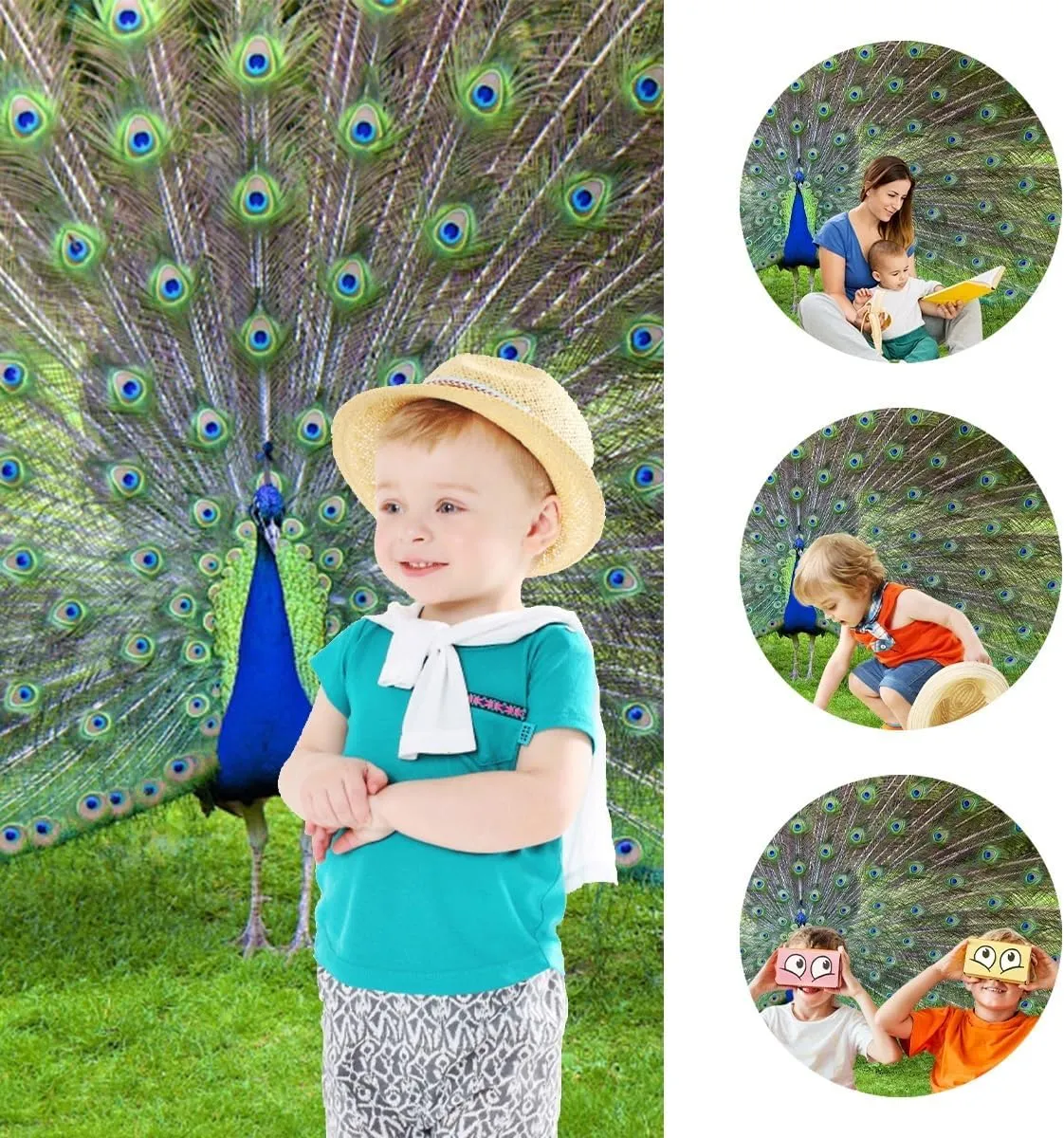 7x5ft Peacock Backdrop Colorful Peacock Feather Green Meadow Outdoor Wild Animal Photography Background Birthday Party Holiday Baby Shower Portrait Studio Photo Props Polyester
