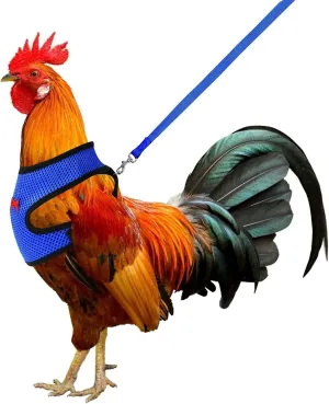 Adjustable Chicken Harness With Leash Comfortable Vest Breathable Chick