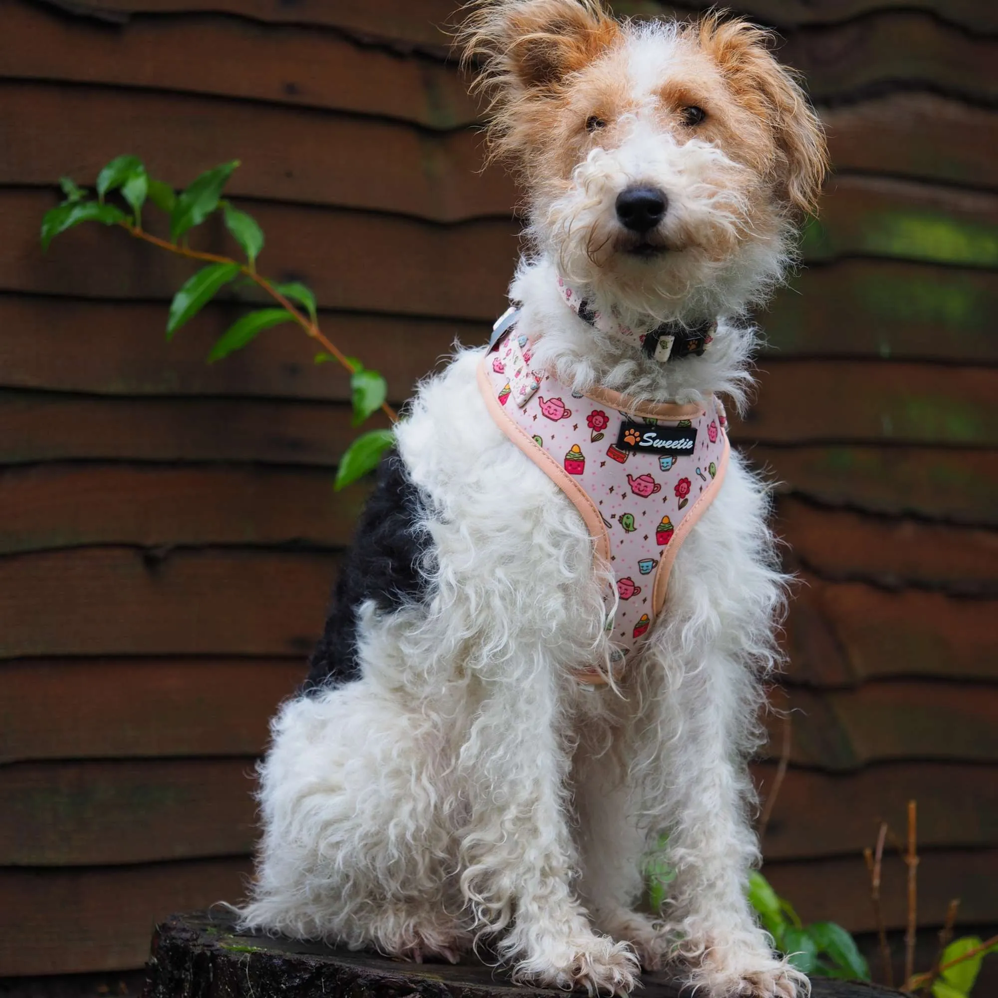 Adjustable Harness - Afternoon Tea