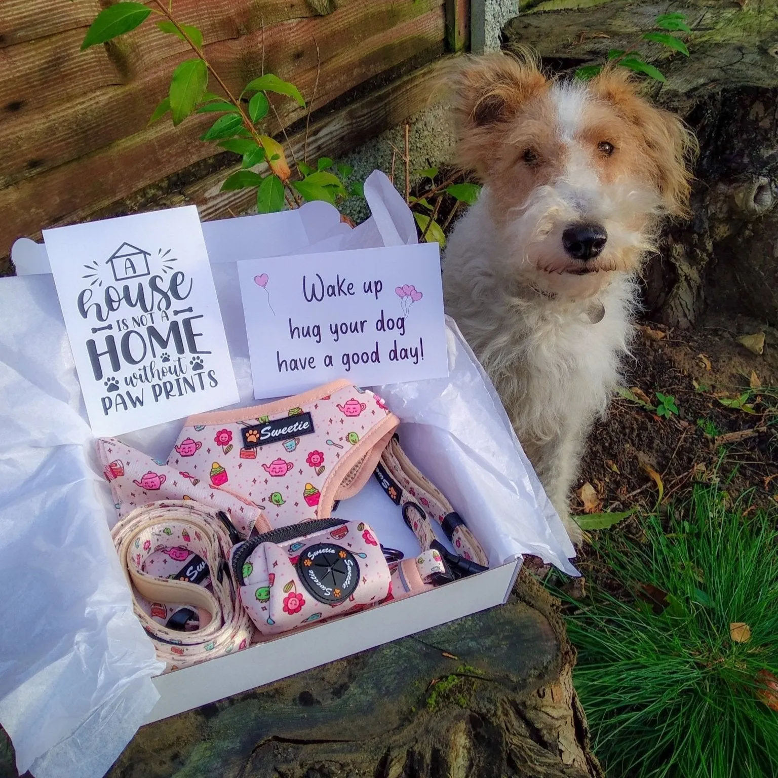 Adjustable Harness - Afternoon Tea