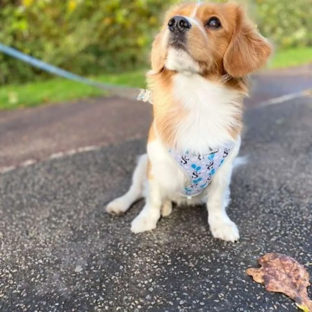 Adjustable Harness - My Heart Belongs to Panda
