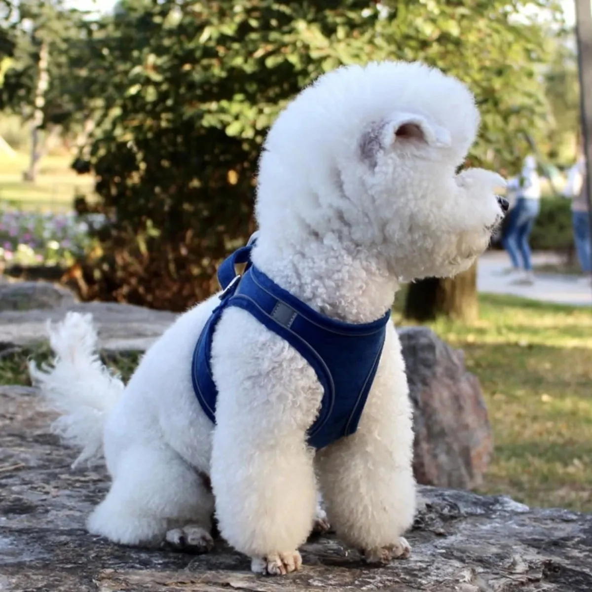 Adjustable Reflective Harness for Pets
