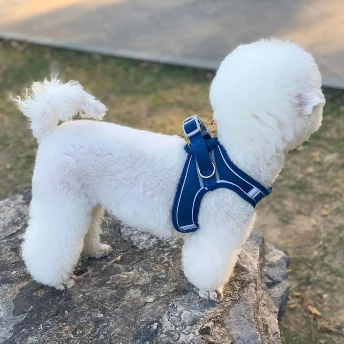 Adjustable Reflective Harness for Pets