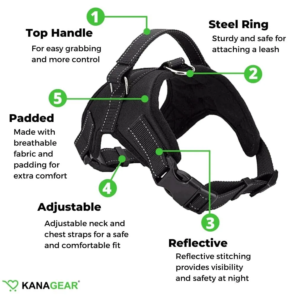 Adjustable Safety Dog Harness