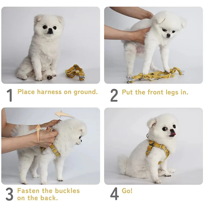 Adjustable Soft No Pull Cute Dog Harness