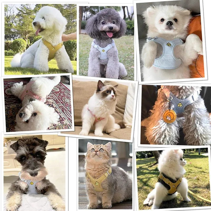 Adjustable Soft No Pull Cute Dog Harness