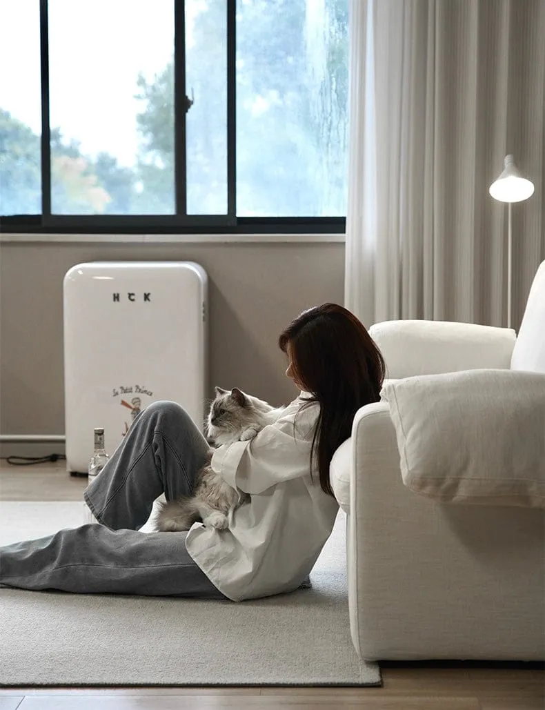 Adrian Foldable Sofa Bed with Mattress