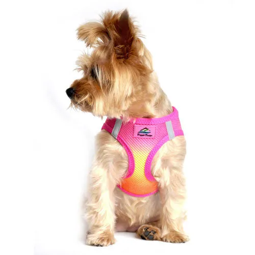 American River Ombre Harness — Raspberry Pink   Orange