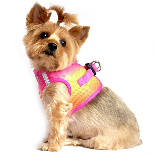 American River Ombre Harness — Raspberry Pink   Orange