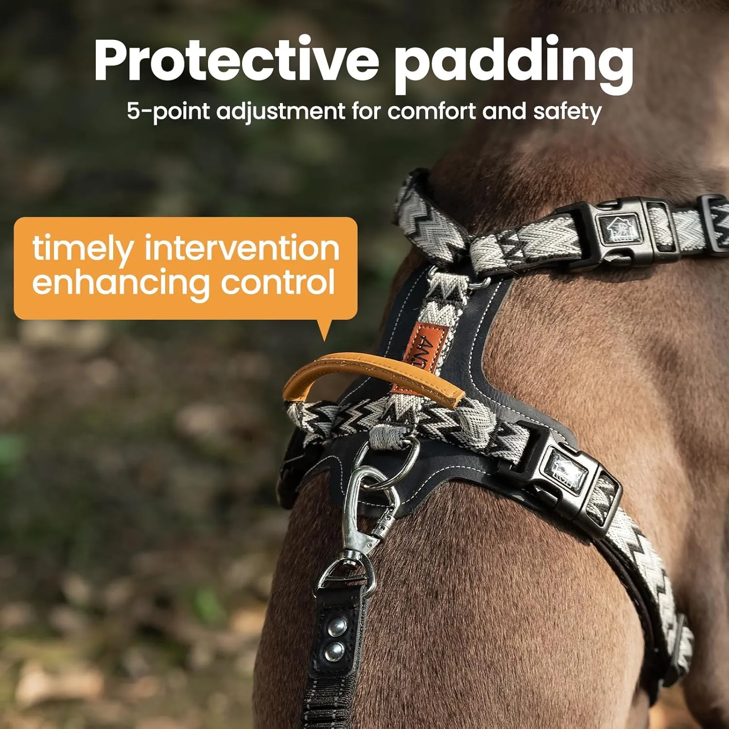 ANDA Easy Walk Dog Harness: Lightweight, Secure, and Comfortable, Balance Buckle-Neck Design, 5-Point Adjustable Harness with Handle for Daily Walks and Training (Large)