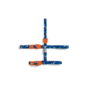 Atlanta Harness   Leash Set