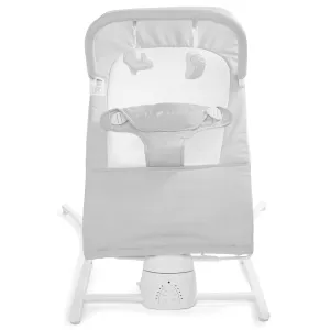Baby Delight Alpine Wave Deluxe Infant Swing | Automated Motion Baby Lounger Seat | Infants 0 – 6 Months | Driftwood Grey