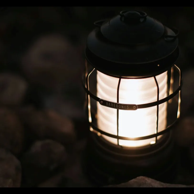 Barebones Forest Lantern Bronze
