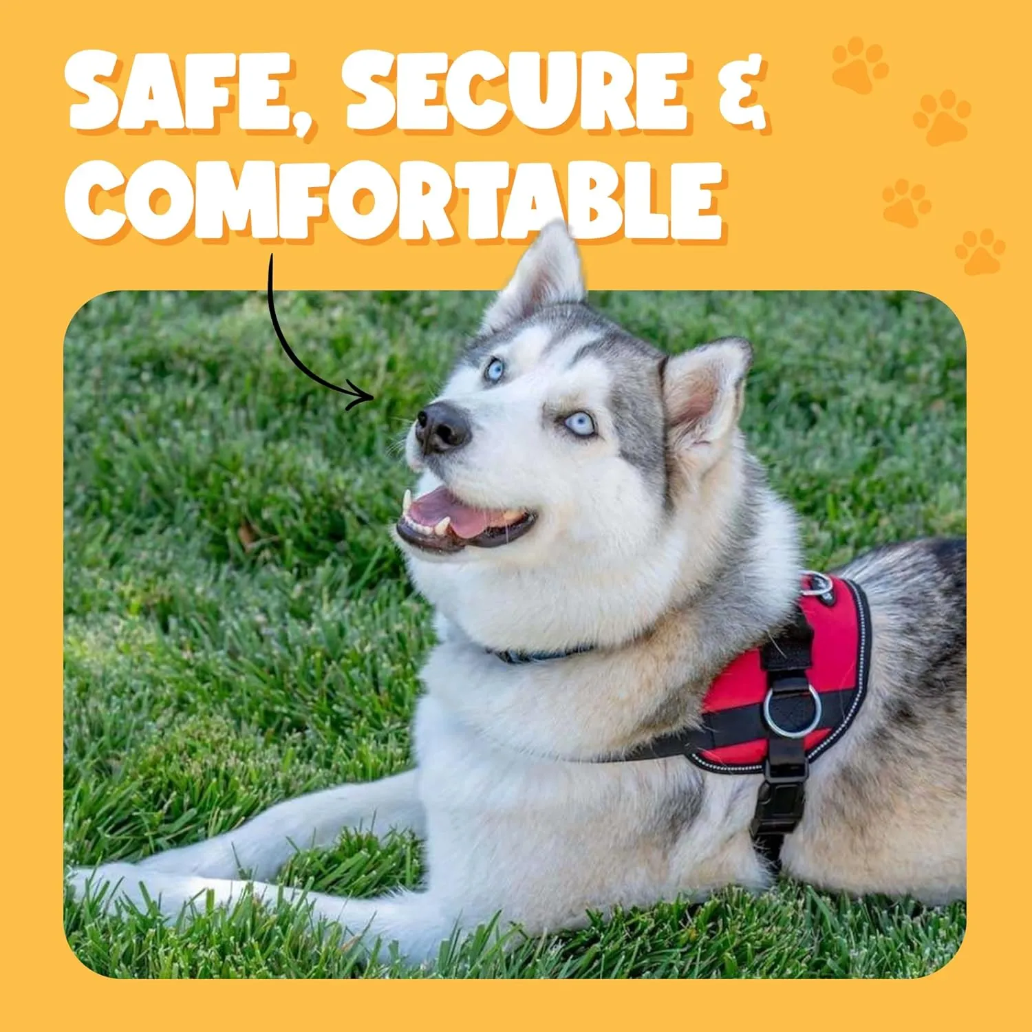 Bark Appeal Purple No-Pull Dog Harness for Large to Extra Large Sized Pets – Adjustable, Reflective Vest with 3 Leash Clips for Added Control, Easy Walks & Training – XL