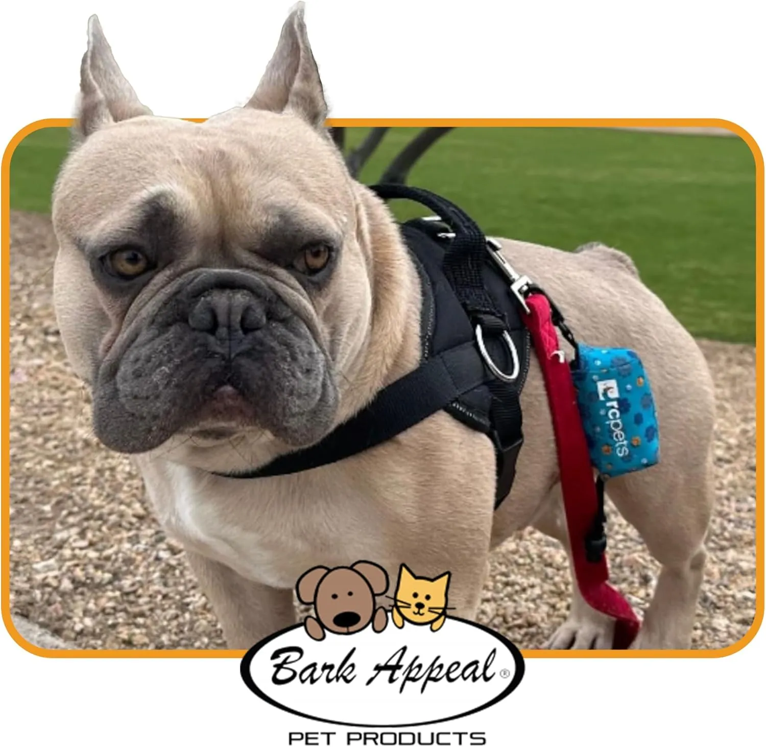Bark Appeal Purple No-Pull Dog Harness for Large to Extra Large Sized Pets – Adjustable, Reflective Vest with 3 Leash Clips for Added Control, Easy Walks & Training – XL