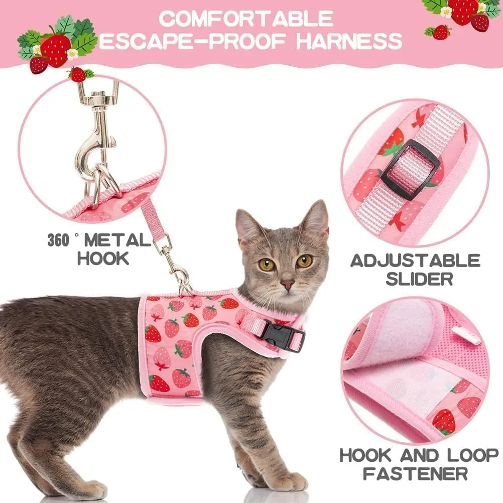 BINGPET Cat Harness with Leash Escape Proof - Fashionable Mesh Cat Dog Walking Harness Leads, Adjustable for Kitties Puppies Small Animals