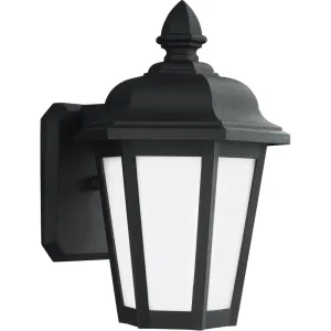Brentwood Black LED Outdoor Wall Lantern
