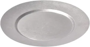 Camping Plates Vintage Dinnerware Plates Stainless Steel Plate Easy to Clean Safe
