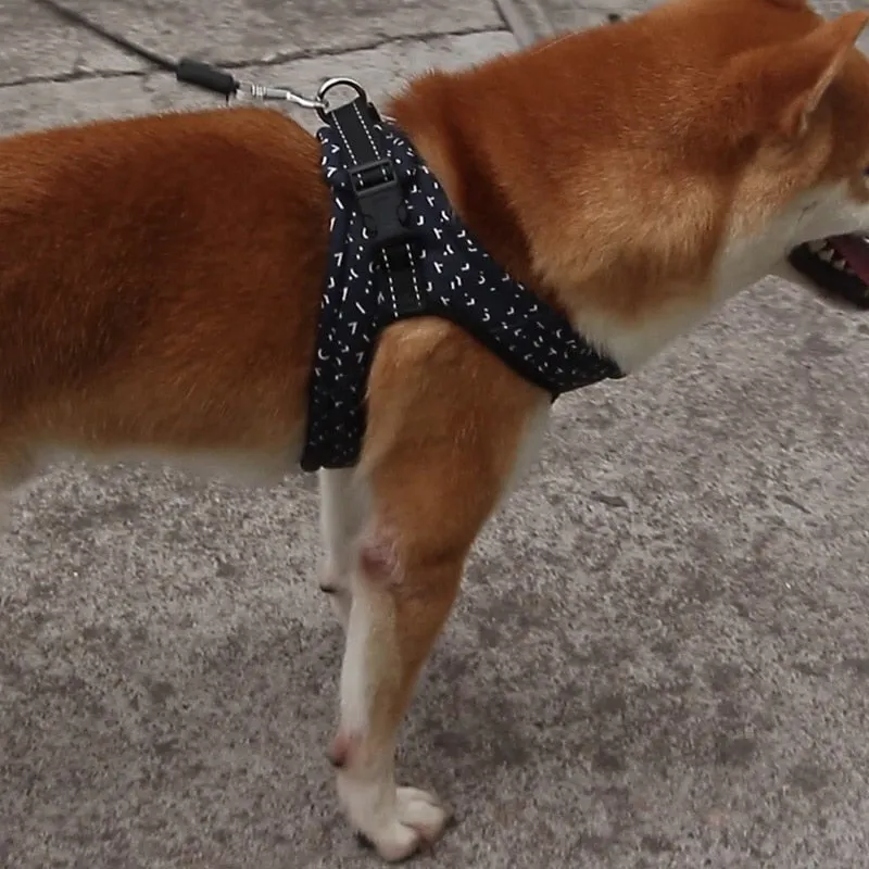 Cotton Padded Pet Dog Harness