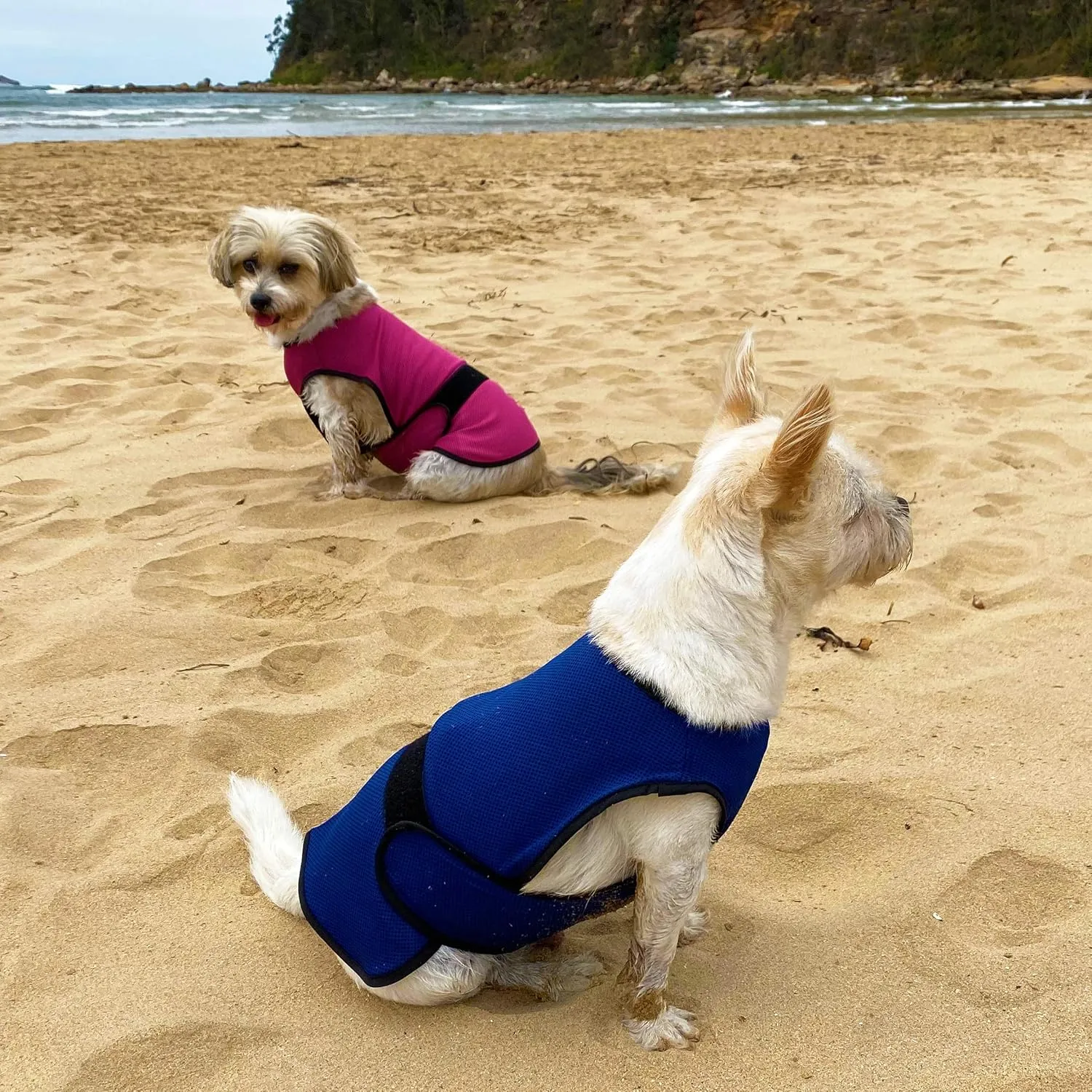 Dog Cooling Vest. Lightweight Jacket with Evaporative Cool Microfiber Technology, UV Protection Shirt for Beach, Sizing for Small, Medium and Large Dogs (L, Rose Pink)