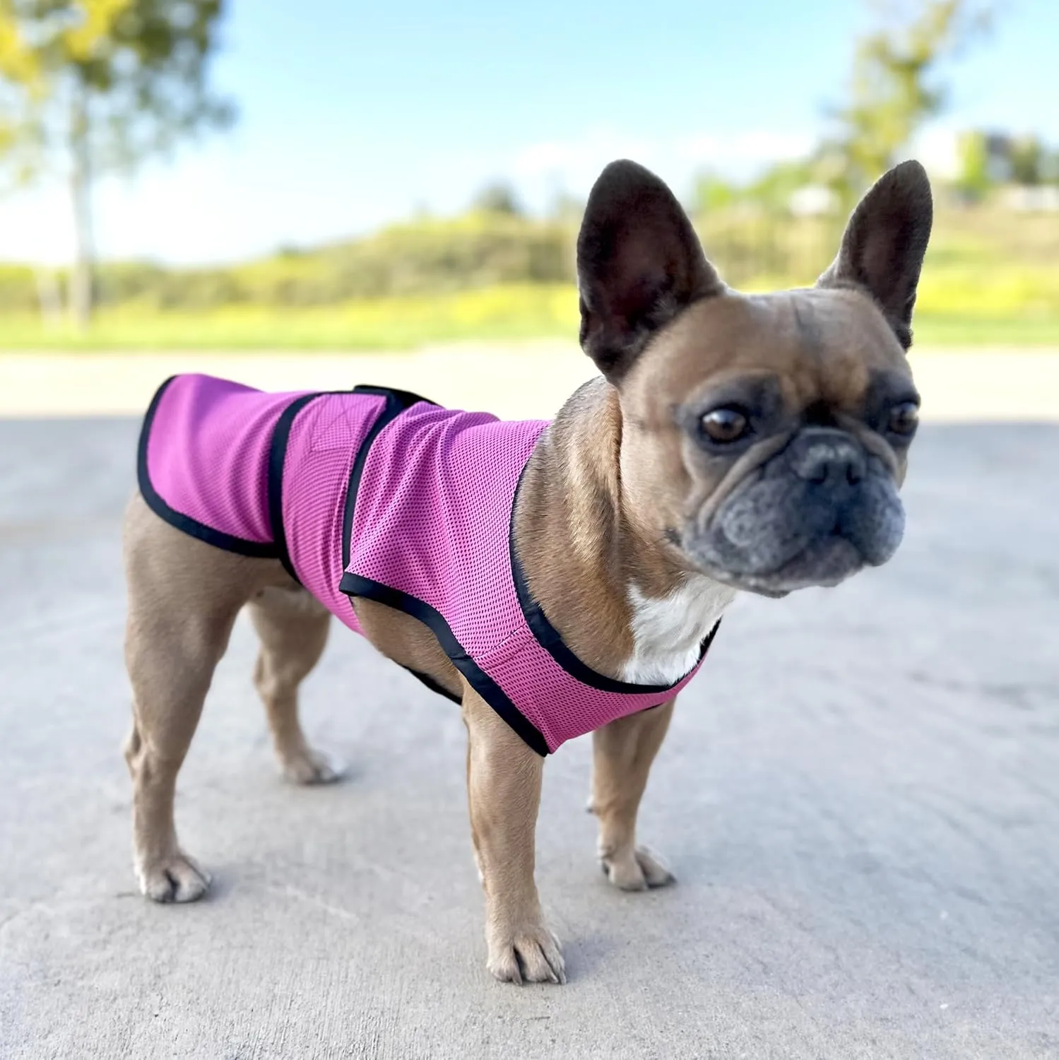 Dog Cooling Vest. Lightweight Jacket with Evaporative Cool Microfiber Technology, UV Protection Shirt for Beach, Sizing for Small, Medium and Large Dogs (L, Rose Pink)