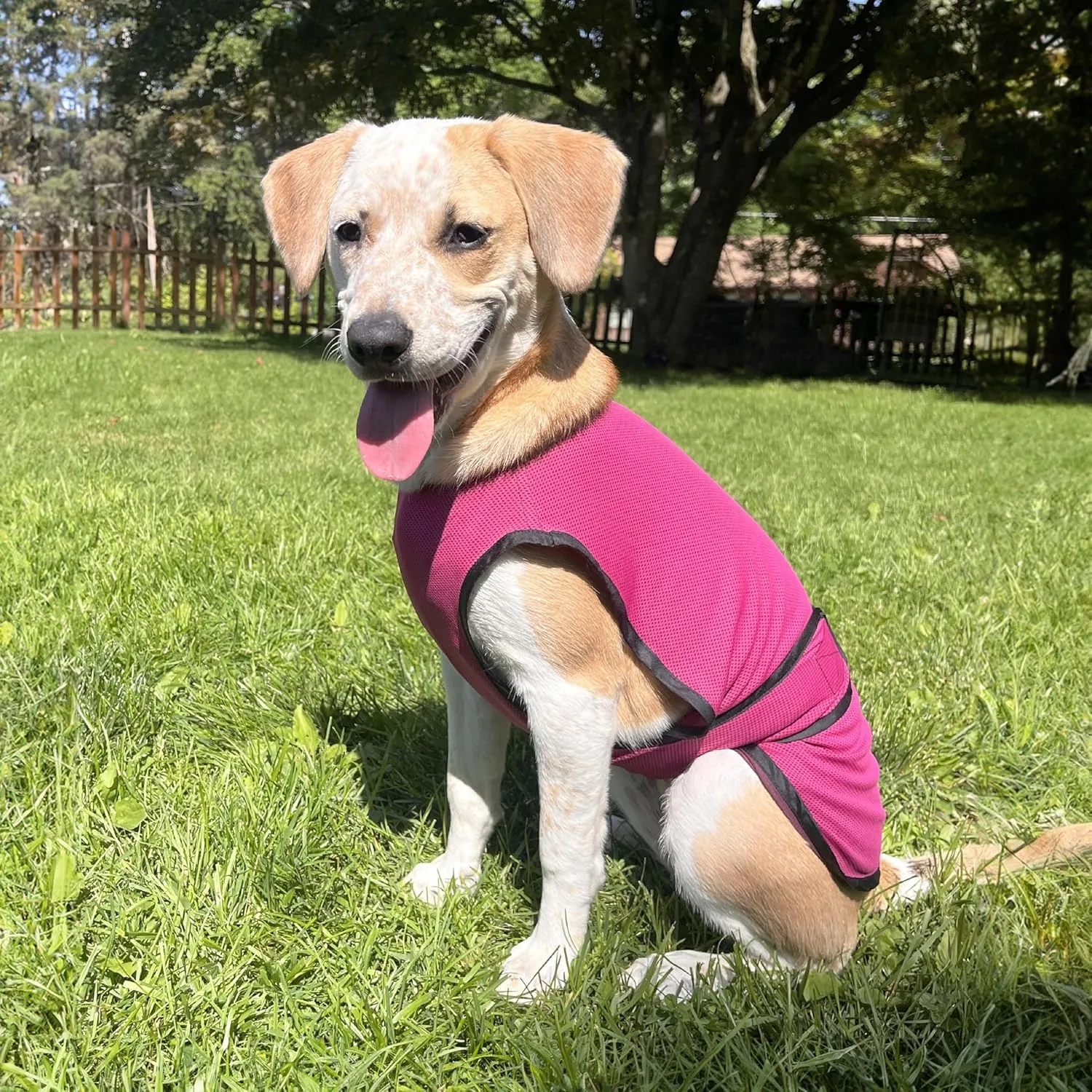 Dog Cooling Vest. Lightweight Jacket with Evaporative Cool Microfiber Technology, UV Protection Shirt for Beach, Sizing for Small, Medium and Large Dogs (L, Rose Pink)