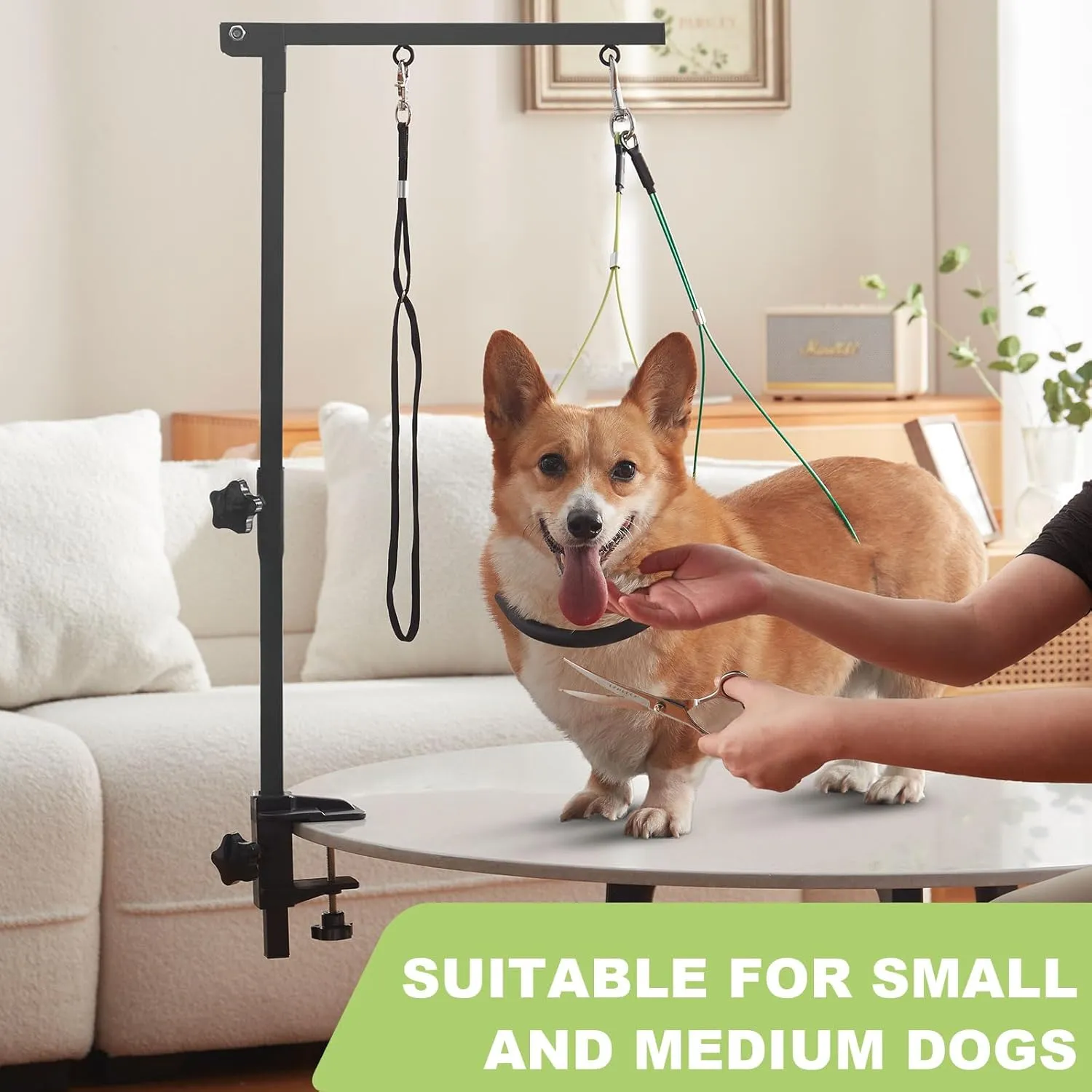 Dog Grooming Arm with Hammock 35" Adjustable Dog Grooming Or Stand with Anti-Slip Metal Clamp No-Sit Haunch Holders for Small/Medium Pets Cat(Grooming Table Not Included)