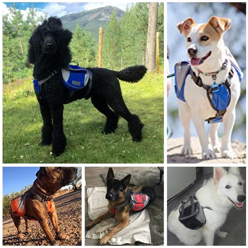 Dog Harness Carrier Backpack for Large Dogs on Sale