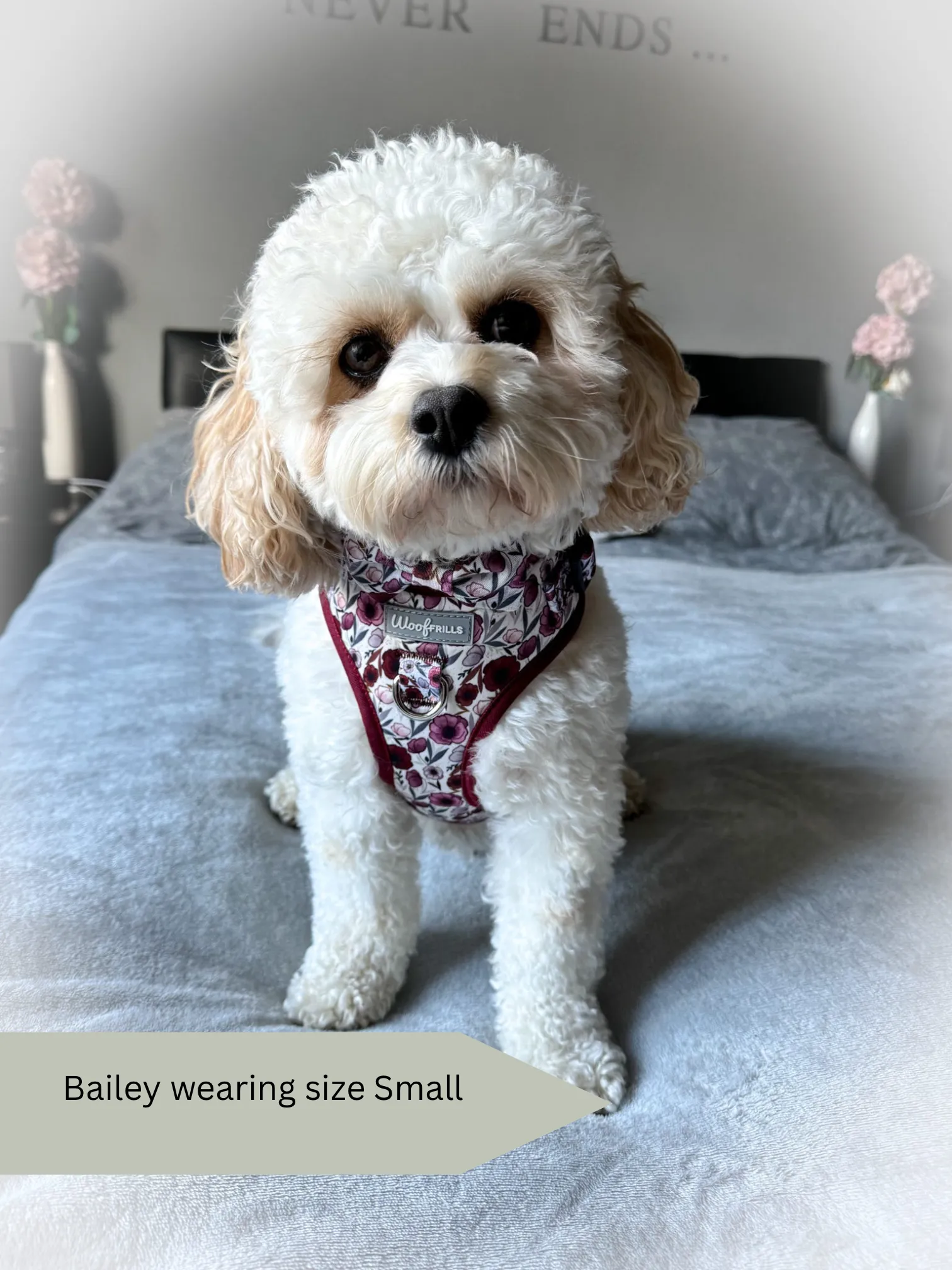 Dog harness, Dog collar and lead set | BUNDLE OF YOUR CHOICE | Poppy power