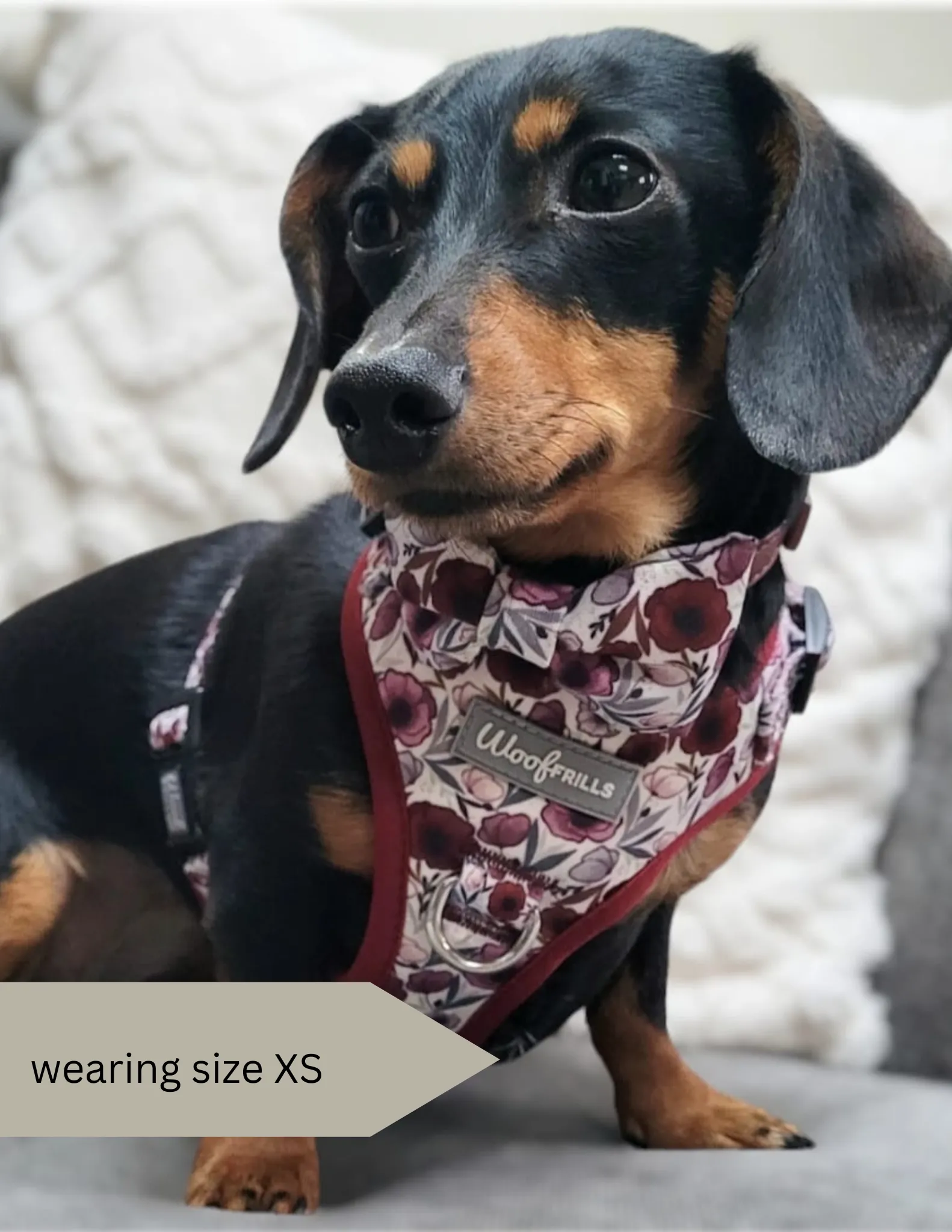 Dog harness, Dog collar and lead set | BUNDLE OF YOUR CHOICE | Poppy power