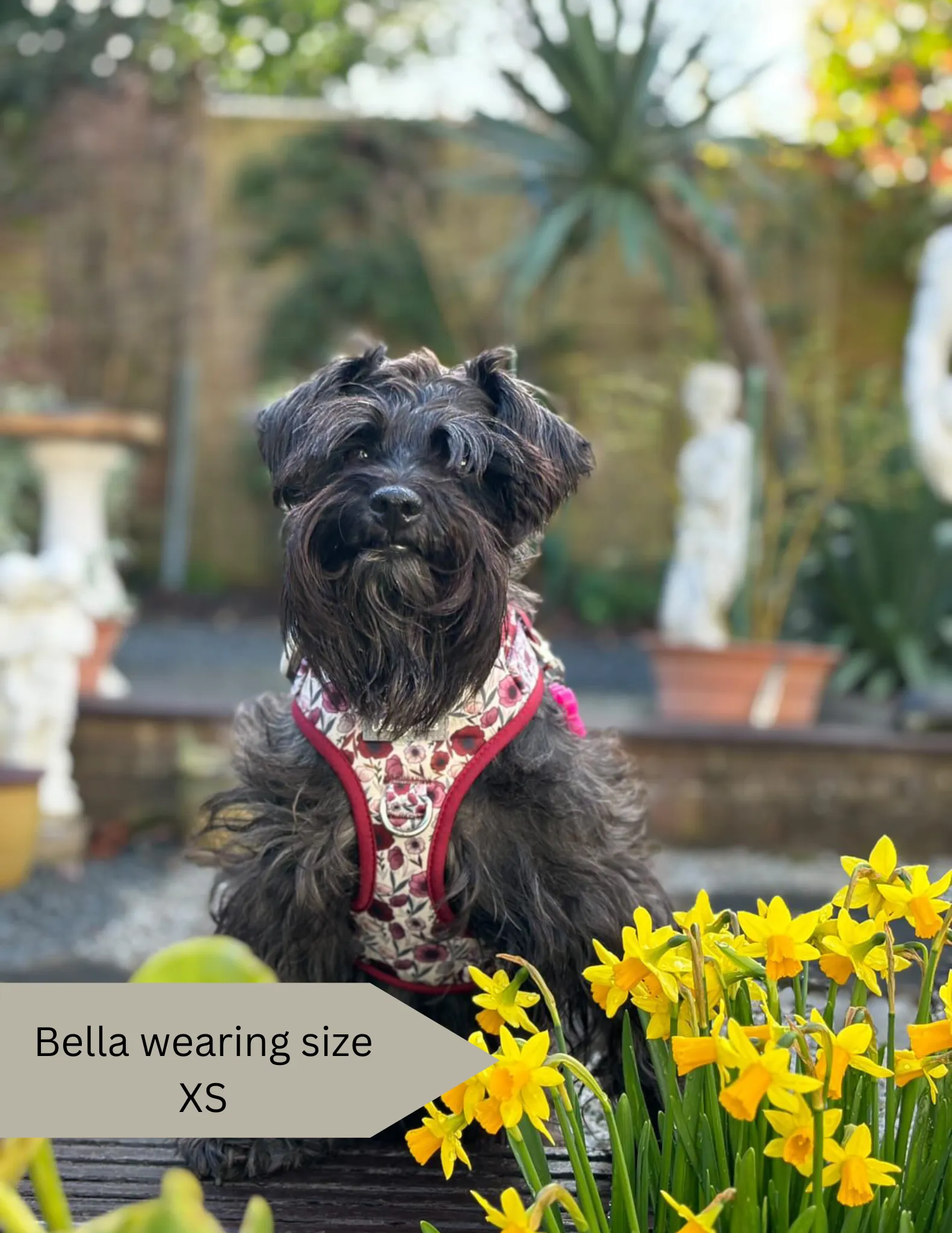 Dog harness, Dog collar and lead set | BUNDLE OF YOUR CHOICE | Poppy power
