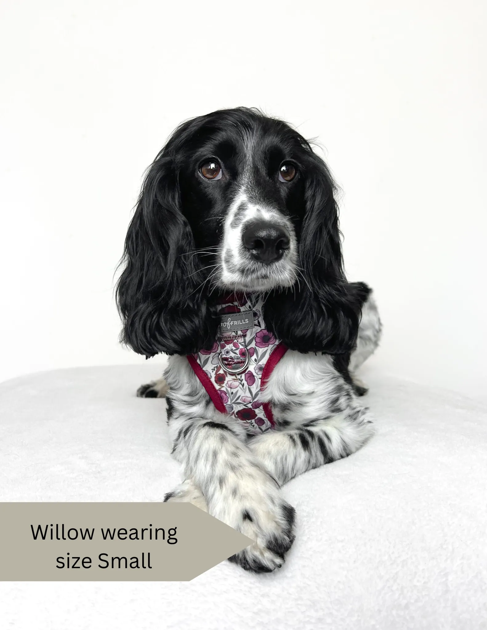 Dog harness, Dog collar and lead set | BUNDLE OF YOUR CHOICE | Poppy power