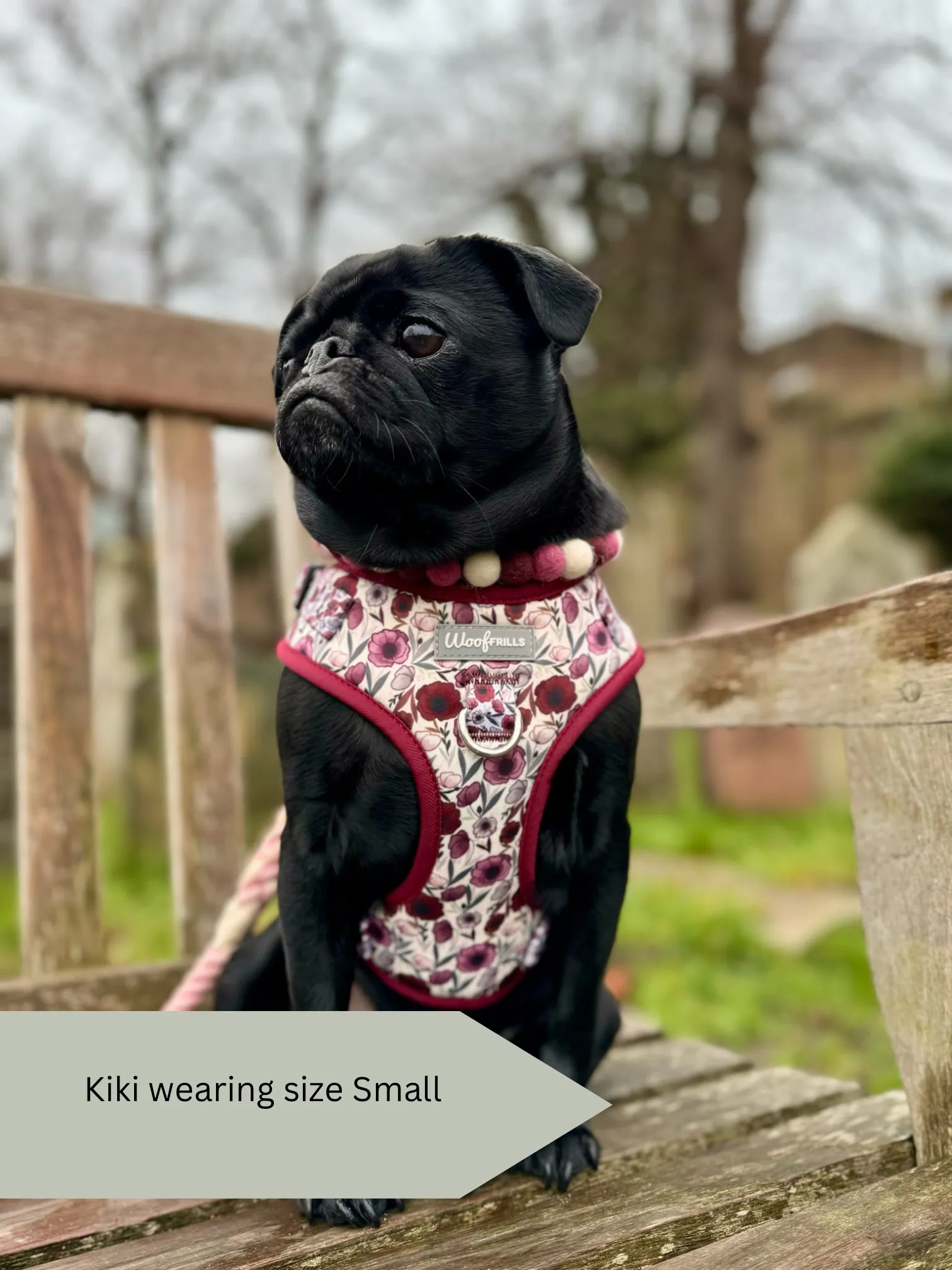 Dog harness, Dog collar and lead set | BUNDLE OF YOUR CHOICE | Poppy power