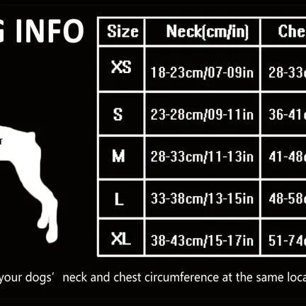 Dog Harness with Steel D Ring - Black, L