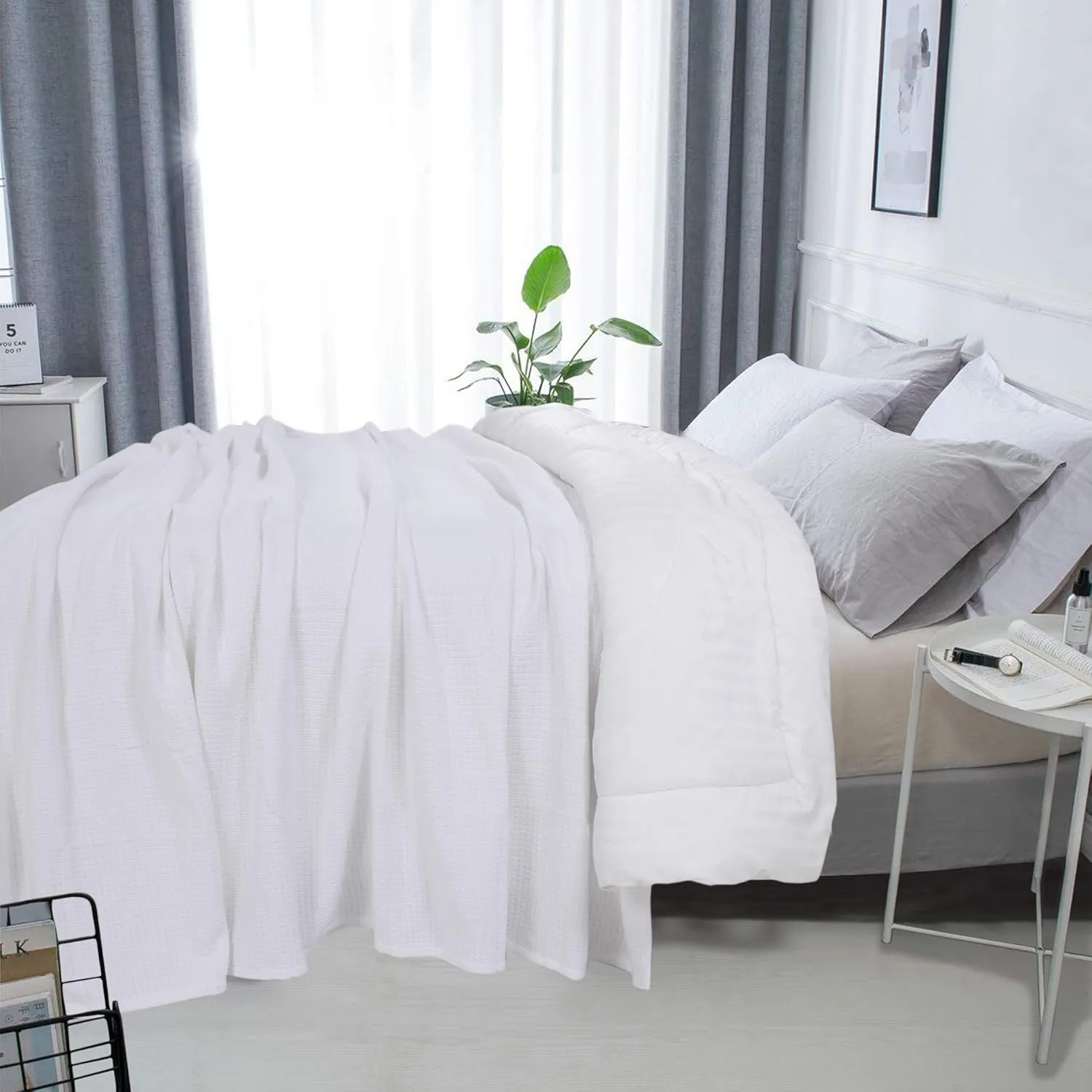 DOLLCENT 100% Cotton Twin Size Blanket for Bed, Premium Soft Combed Lightweight Blankets, Washed Breathable Cozy Bed Throw Blanket, White Twin Cotton Blankets for All Season: White (66"x90")