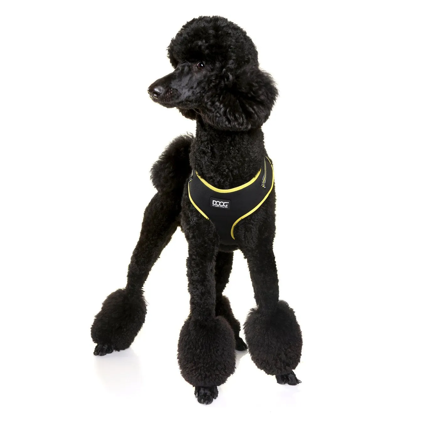DOOG Neoflex Soft Harness - Neon (BOLT)