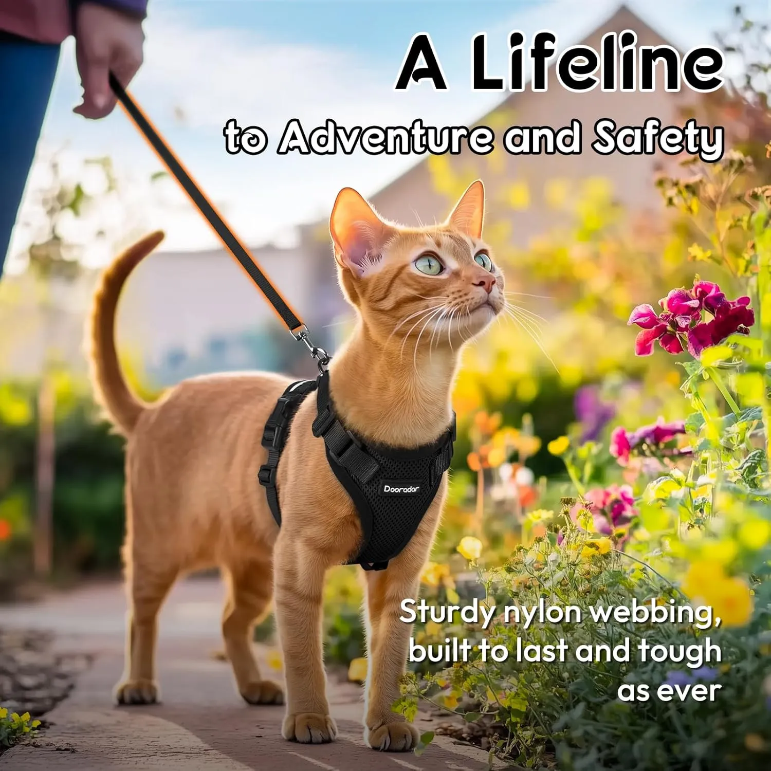 Dooradar Cat Harness and Leash Set, Escape Proof Safe Adjustable Kitten Vest Harnesses for Walking, Easy Control Soft Breathable Mesh Jacket with Reflective Strips for Cats, Black, S
