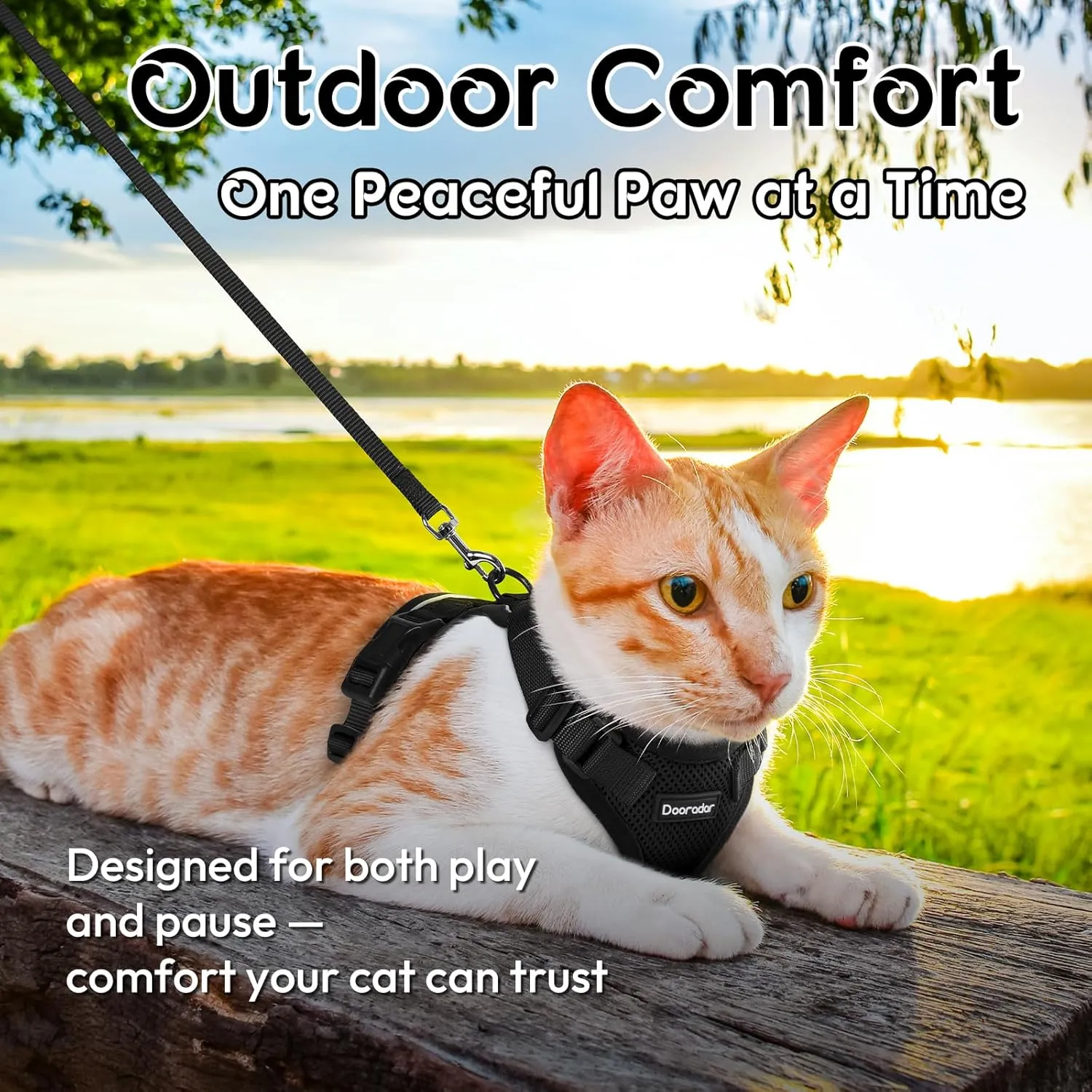 Dooradar Cat Harness and Leash Set, Escape Proof Safe Adjustable Kitten Vest Harnesses for Walking, Easy Control Soft Breathable Mesh Jacket with Reflective Strips for Cats, Black, S