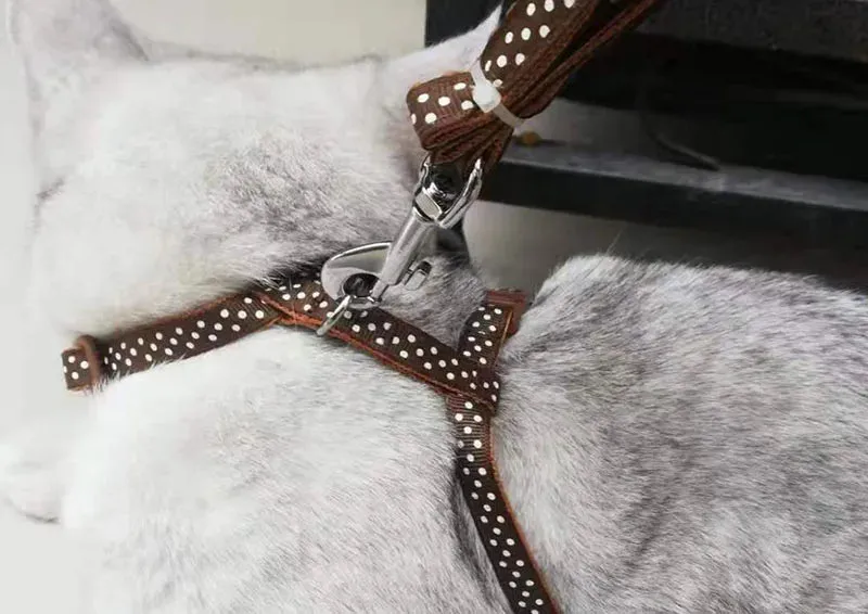 Dot & Plaid Cat Harness & Leash