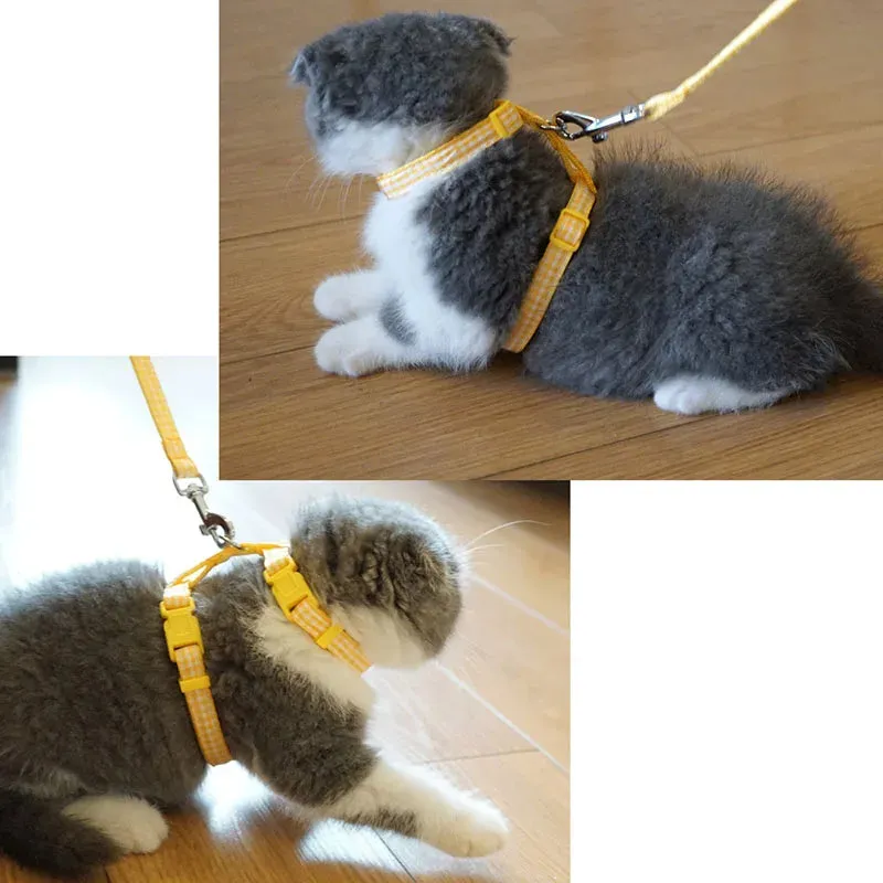 Dot & Plaid Cat Harness & Leash