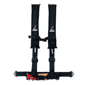 DragonFire Racing Seat Belt Harness - 2 Inch