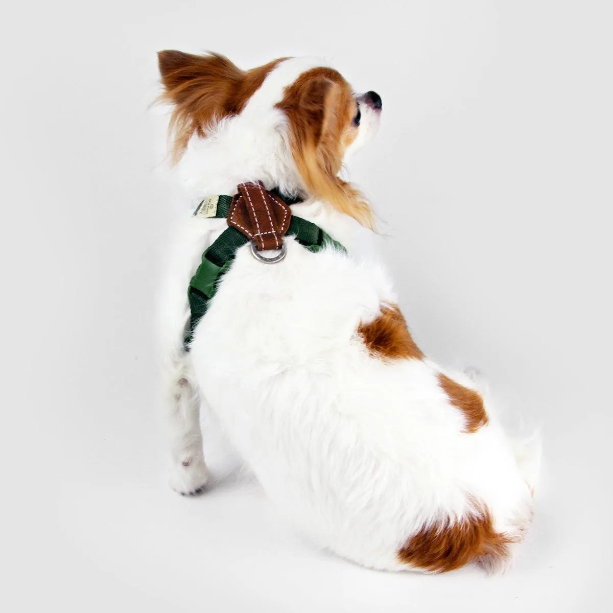 Explore| Adjustable Harness with Leather Green